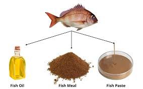 Fish Solubles